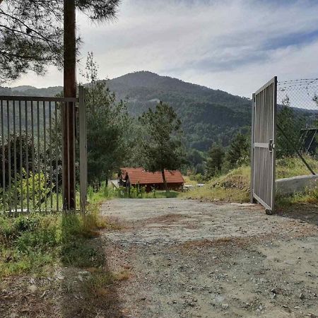 The Cosy Mountain Cabin With Stunning Views Near Troodos Kato Amiandos エクステリア 写真