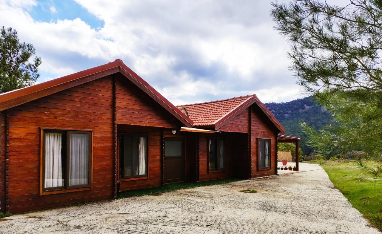 The Cosy Mountain Cabin With Stunning Views Near Troodos Kato Amiandos エクステリア 写真