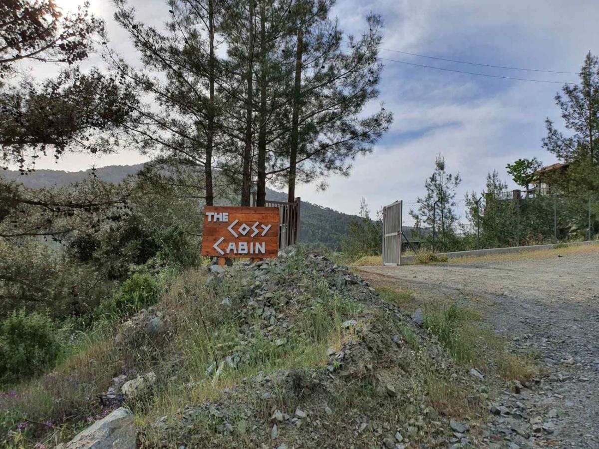 The Cosy Mountain Cabin With Stunning Views Near Troodos Kato Amiandos エクステリア 写真